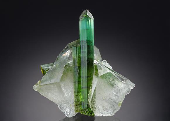 CC20756 specimen image