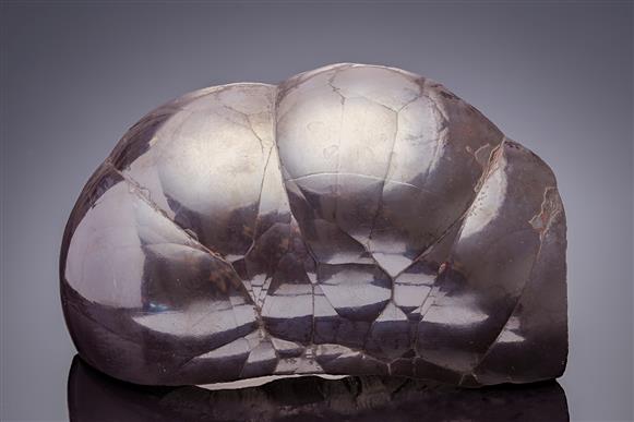 CC20771 specimen image