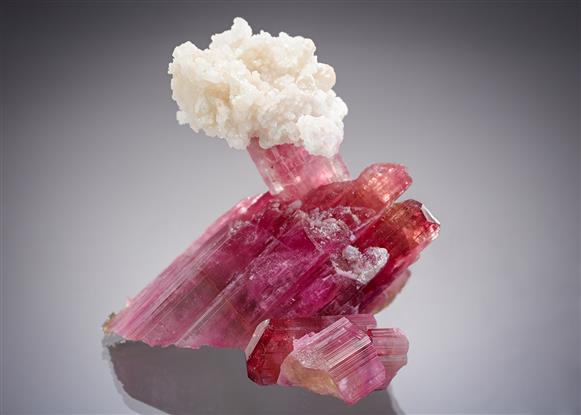 CC20781 specimen image