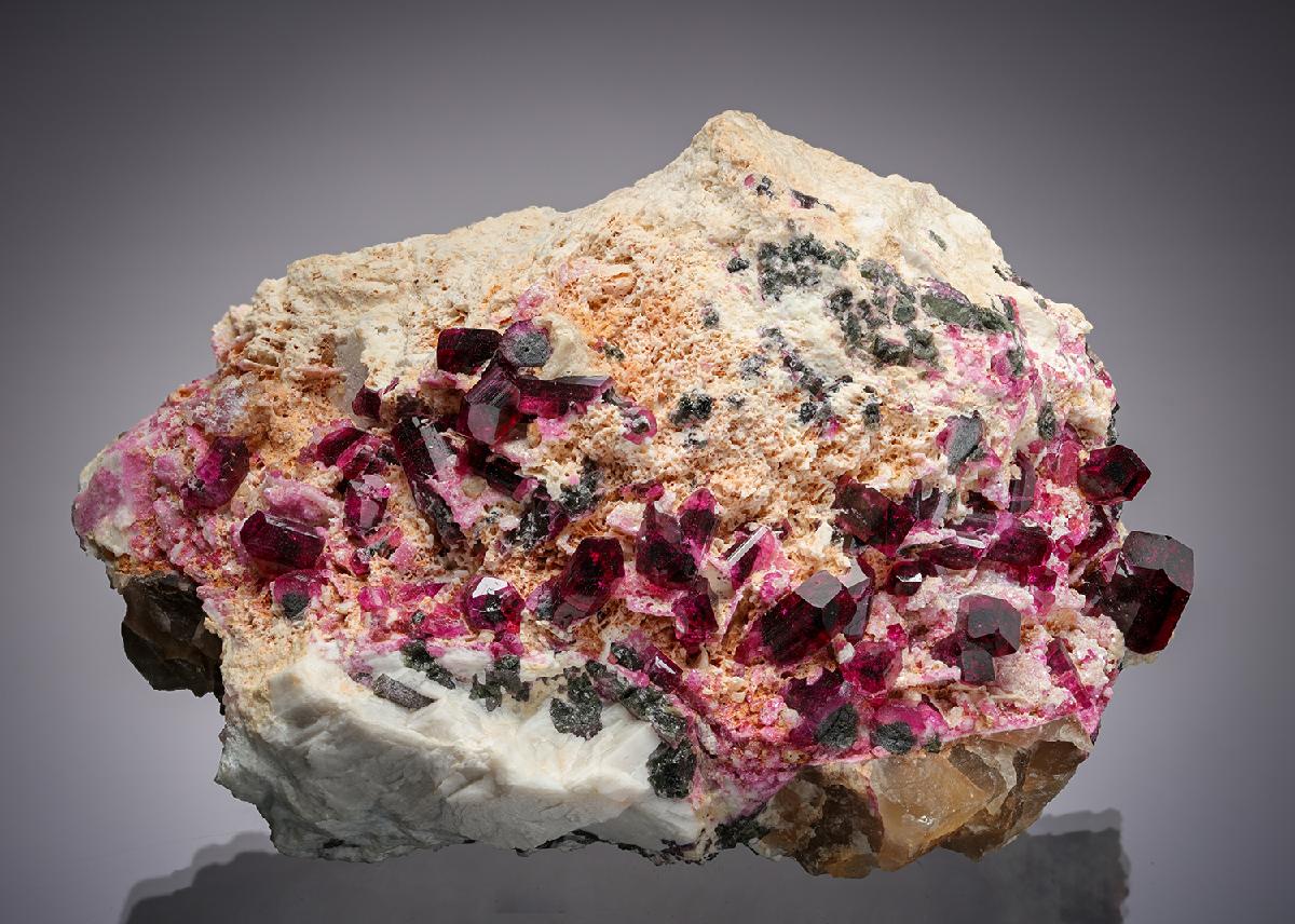 CC20782 specimen image
