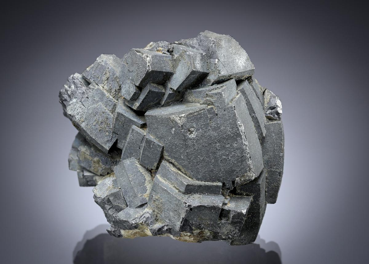 CC20783 specimen image