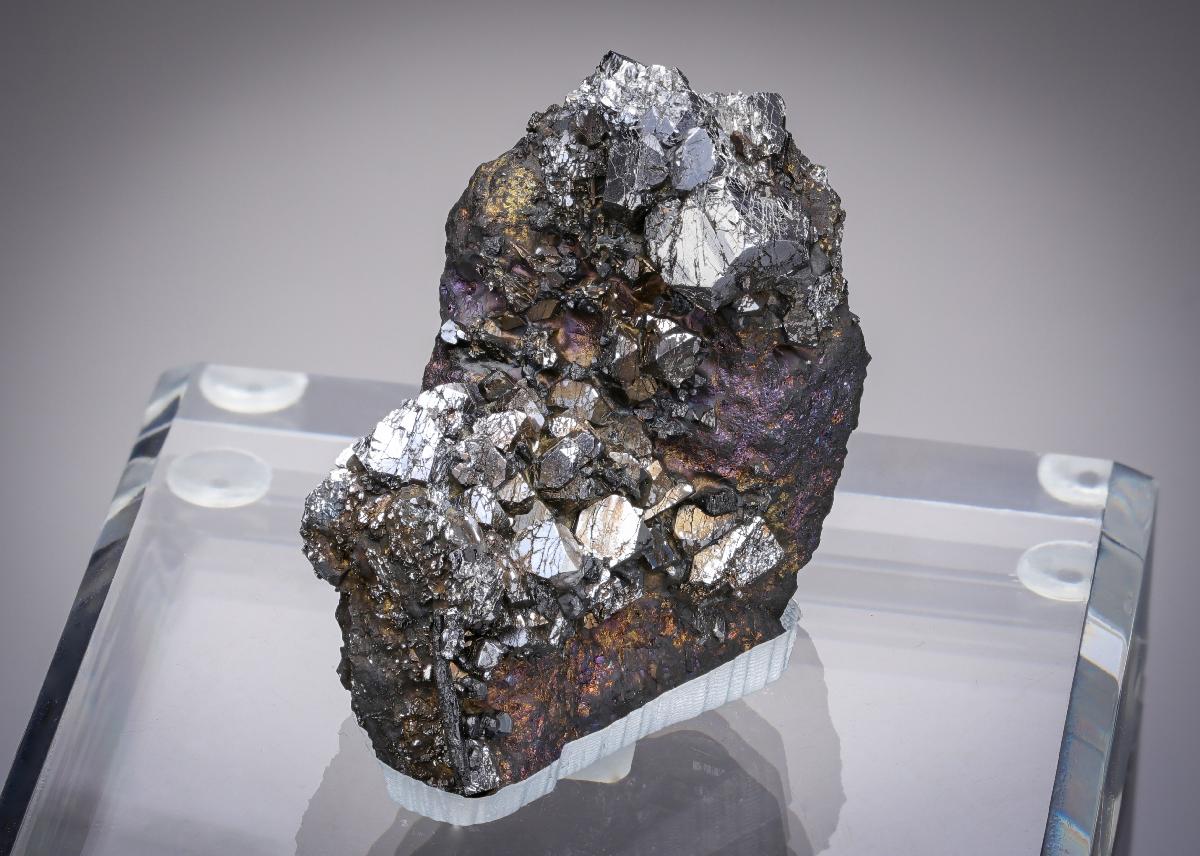CC20784 specimen image