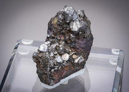 CC20784 specimen image