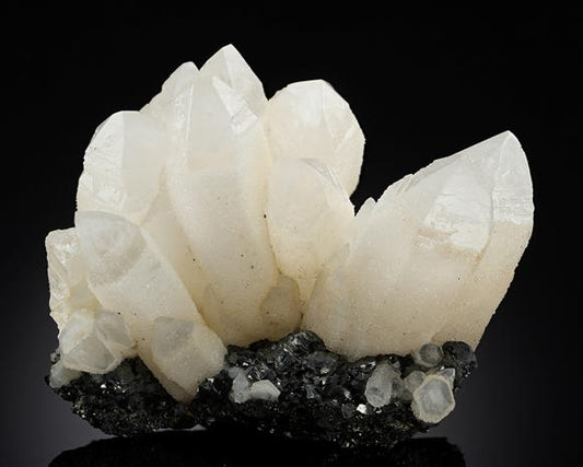 CC20791 specimen image