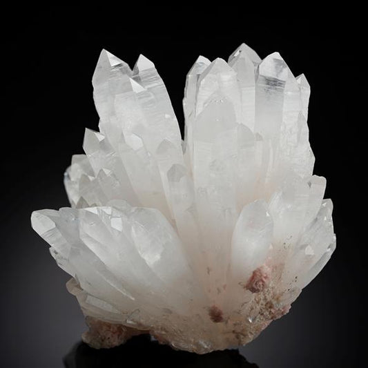 CC20792 specimen image
