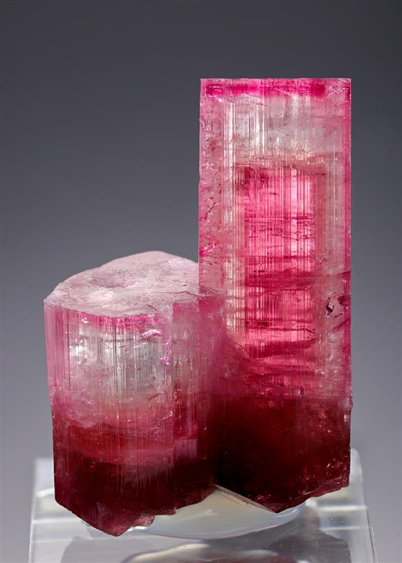 CC20799 specimen image