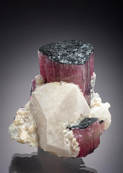 CC20803 specimen image