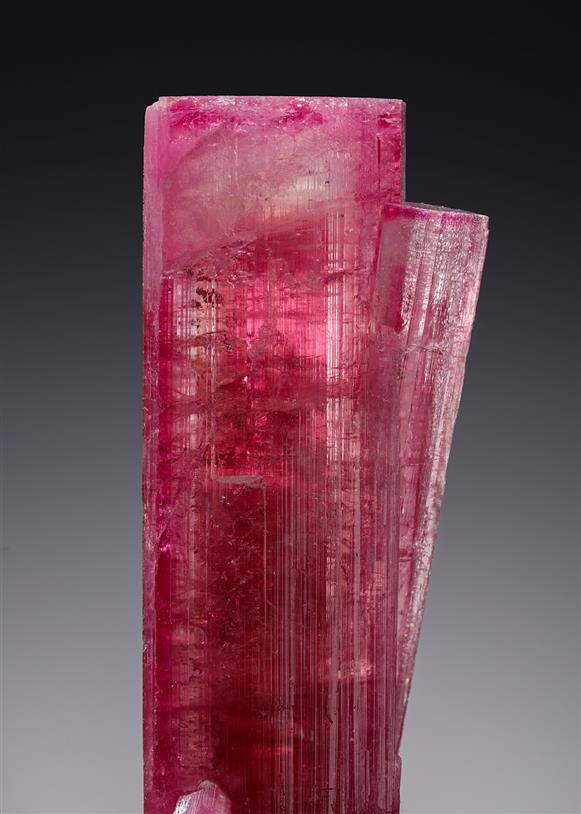 CC20804 specimen image