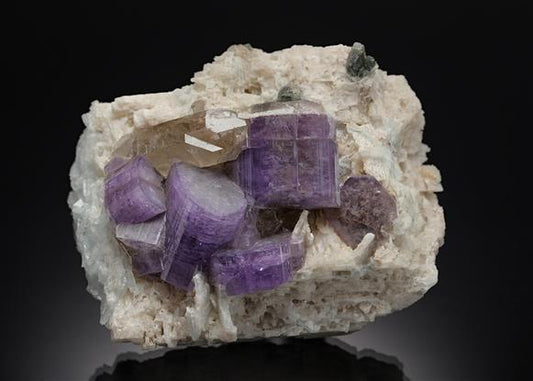 CC20812 specimen image