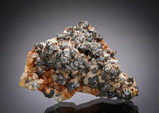 CC20815 specimen image
