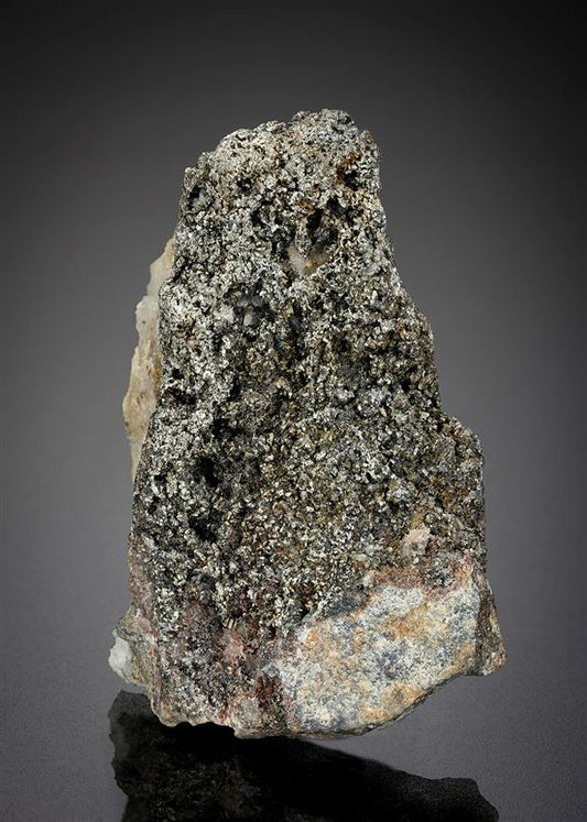 CC20818 specimen image