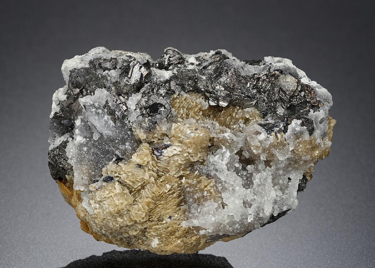 CC20822 specimen image