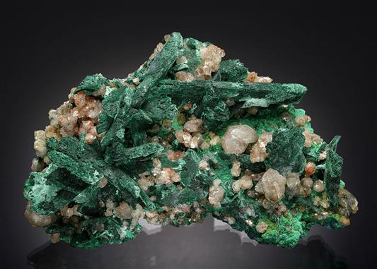 CC20823 specimen image