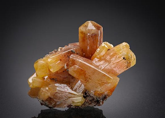 CC20824 specimen image