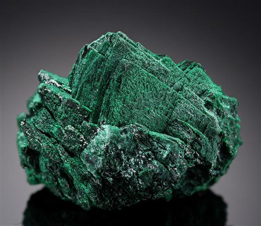 CC20827 specimen image