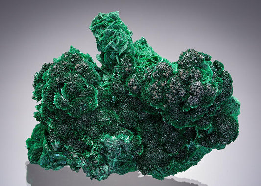 CC20831 specimen image