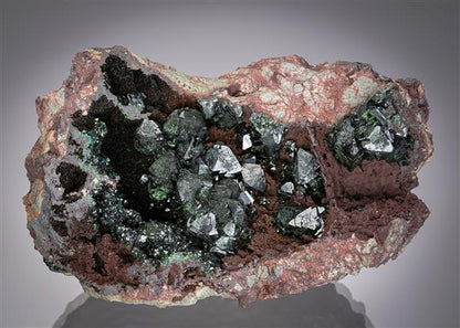 CC20834 specimen image