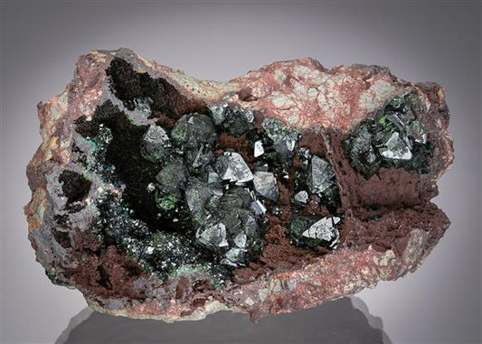CC20834 specimen image