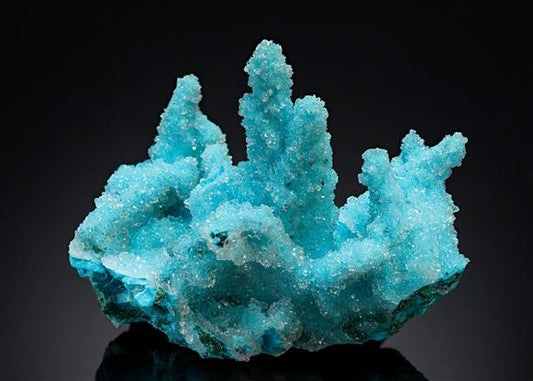 CC20842 specimen image