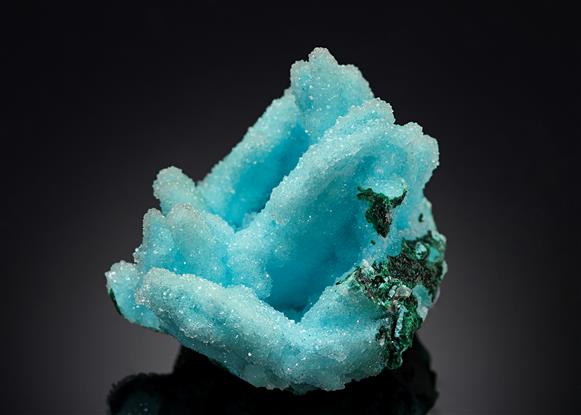 CC20844 specimen image