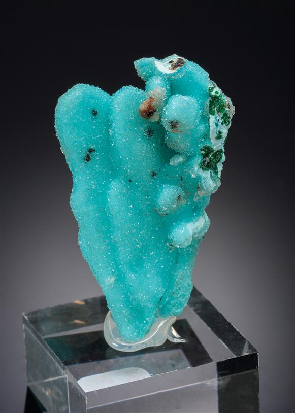 CC20861 specimen image