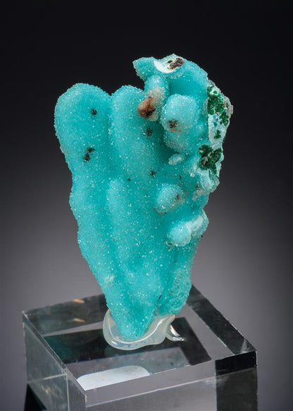 CC20861 specimen image