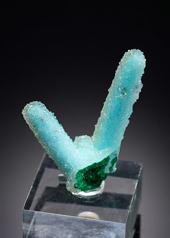 CC20864 specimen image