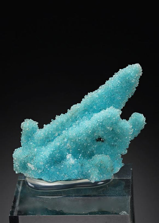 CC20866 specimen image