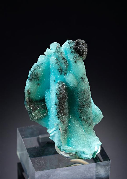 CC20869 specimen image