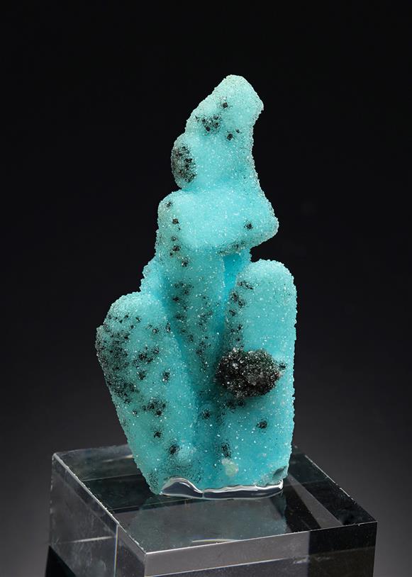 CC20870 specimen image