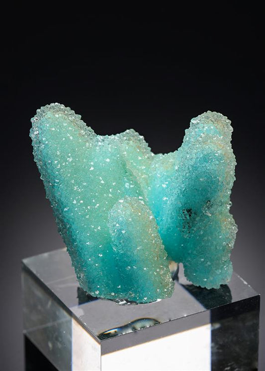 CC20873 specimen image