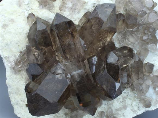 CC2088 specimen image