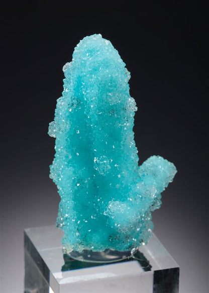 CC20881 specimen image