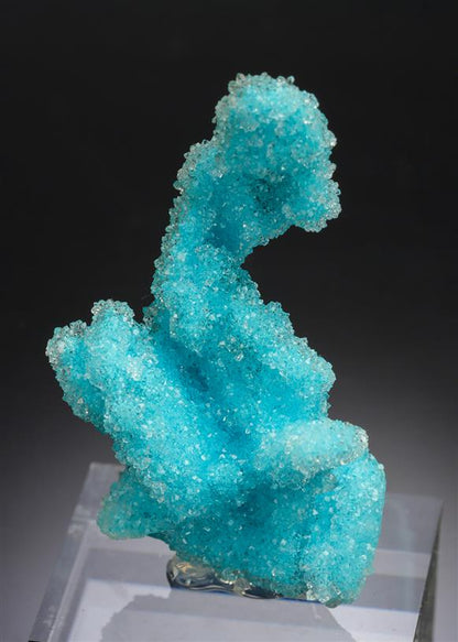 CC20914 specimen image