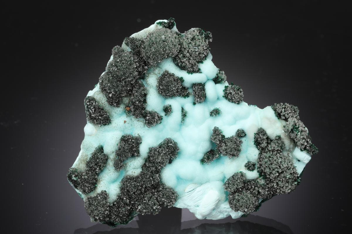 CC20954 specimen image