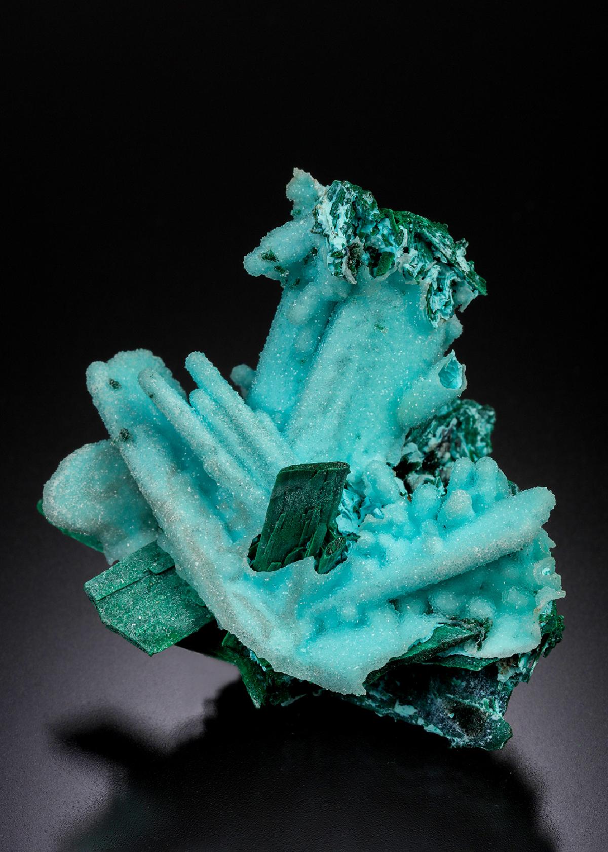 CC21000 specimen image