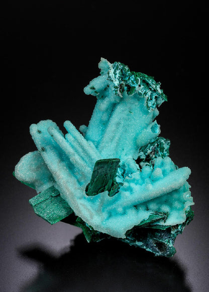 CC21000 specimen image