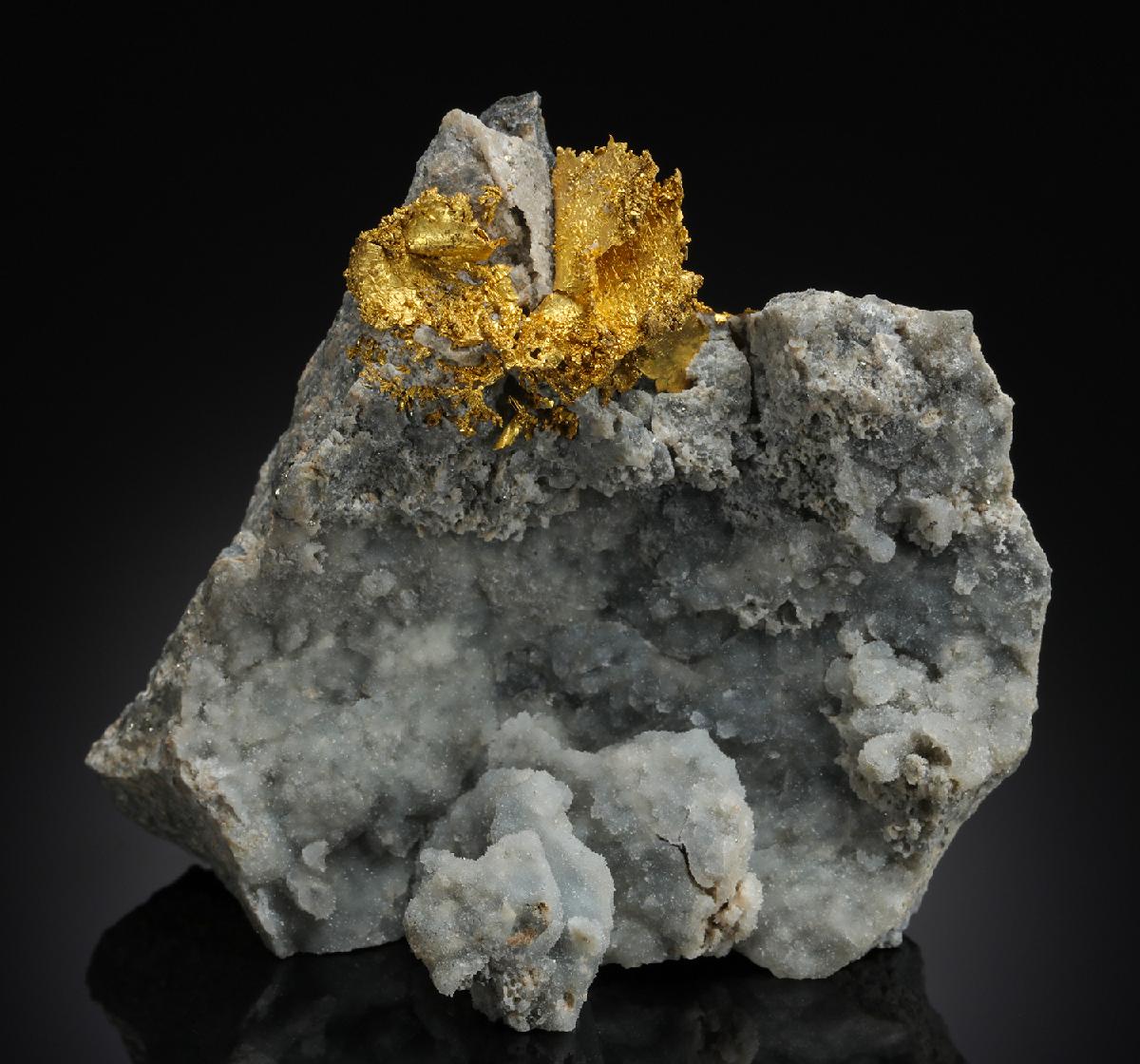 CC21026 specimen image