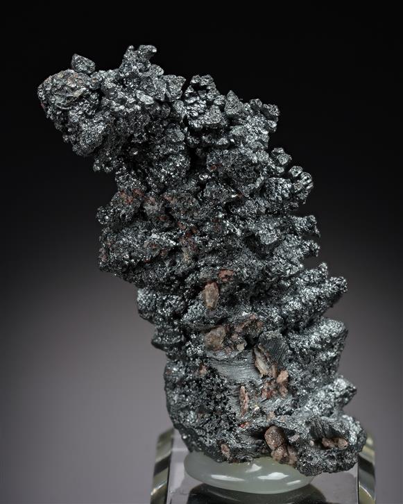 CC21027 specimen image