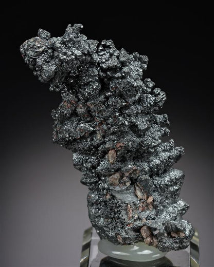 CC21027 specimen image