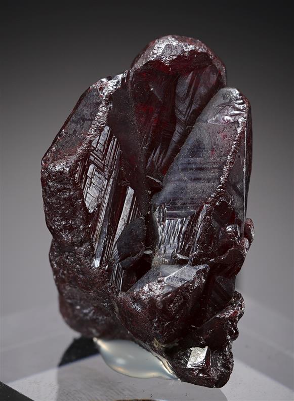 CC21029 specimen image