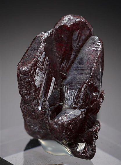 CC21029 specimen image