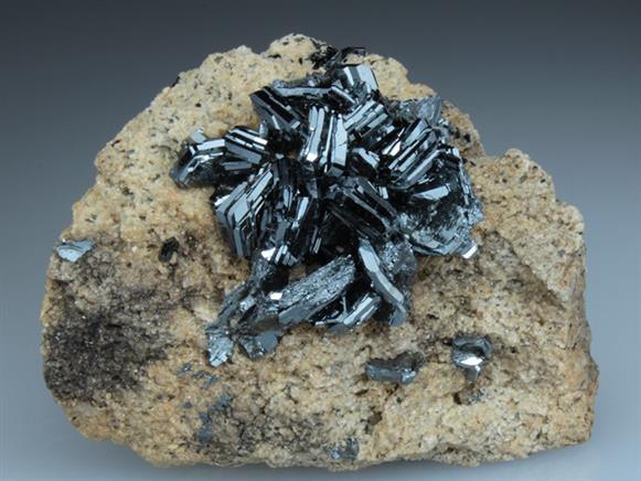 CC2102 specimen image