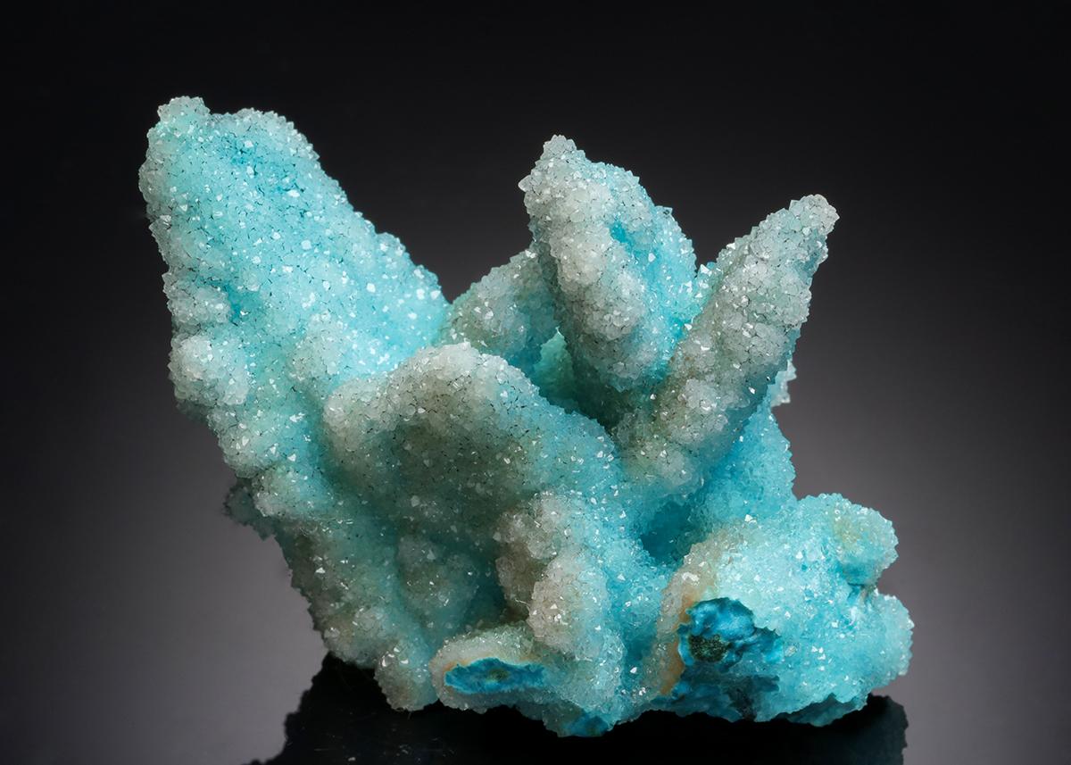 CC21070 specimen image