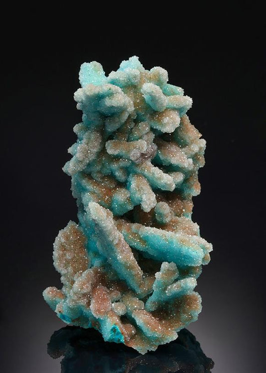CC21076 specimen image