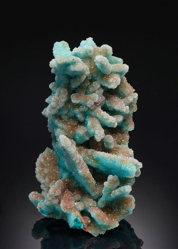 CC21076 specimen image