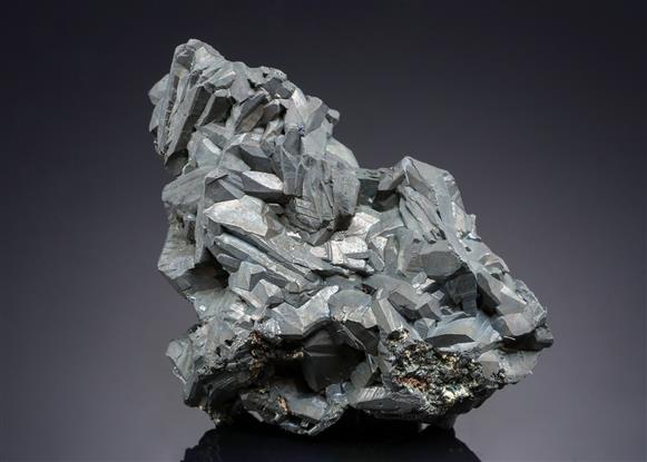 CC21079 specimen image