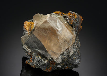 CC21081 specimen image