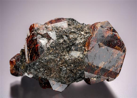 CC21084 specimen image