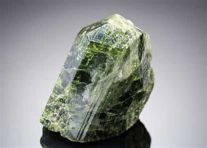 CC21090 specimen image